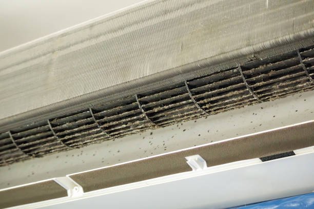 Best Ventilation Cleaning Services  in Springfield, FL